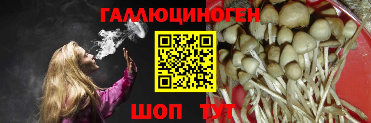 Подольск  что такое   Галлюциногенные грибы Cubensis  Вход с VPN  Псилоцибиновые грибы ЛСД 